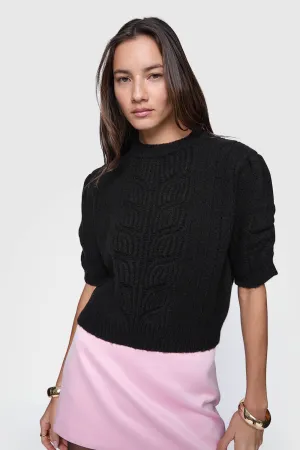 Pull doudou Campbell