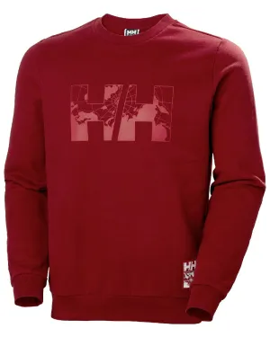 Pull Helly Hansen Arctic Ocean pour Homme Helly Hansen