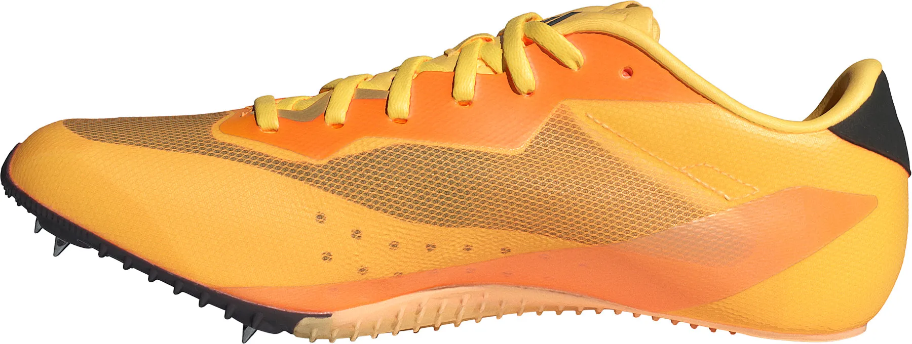 Chaussures Adidas Femme adidas Sprintstar Pointes de Course - Orange