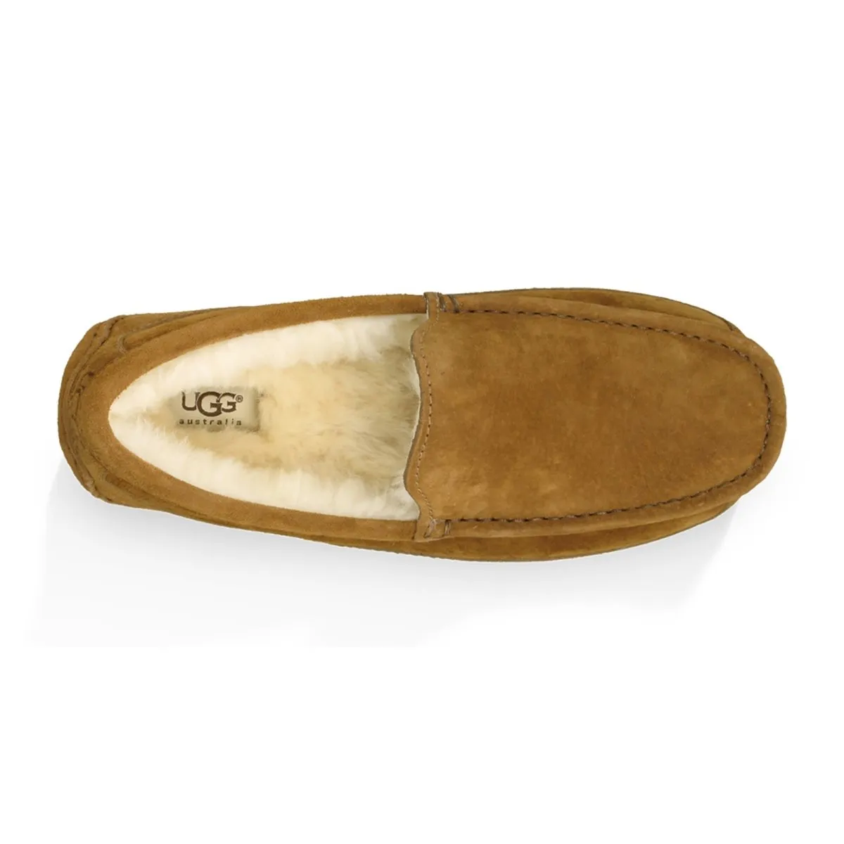 UGG Chaussures pour Homme Ascot en Suède Marron