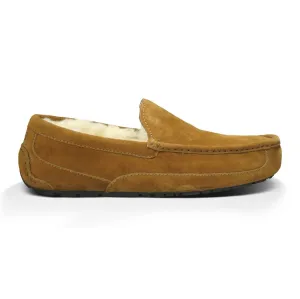 UGG Chaussures pour Homme Ascot en Suède Marron