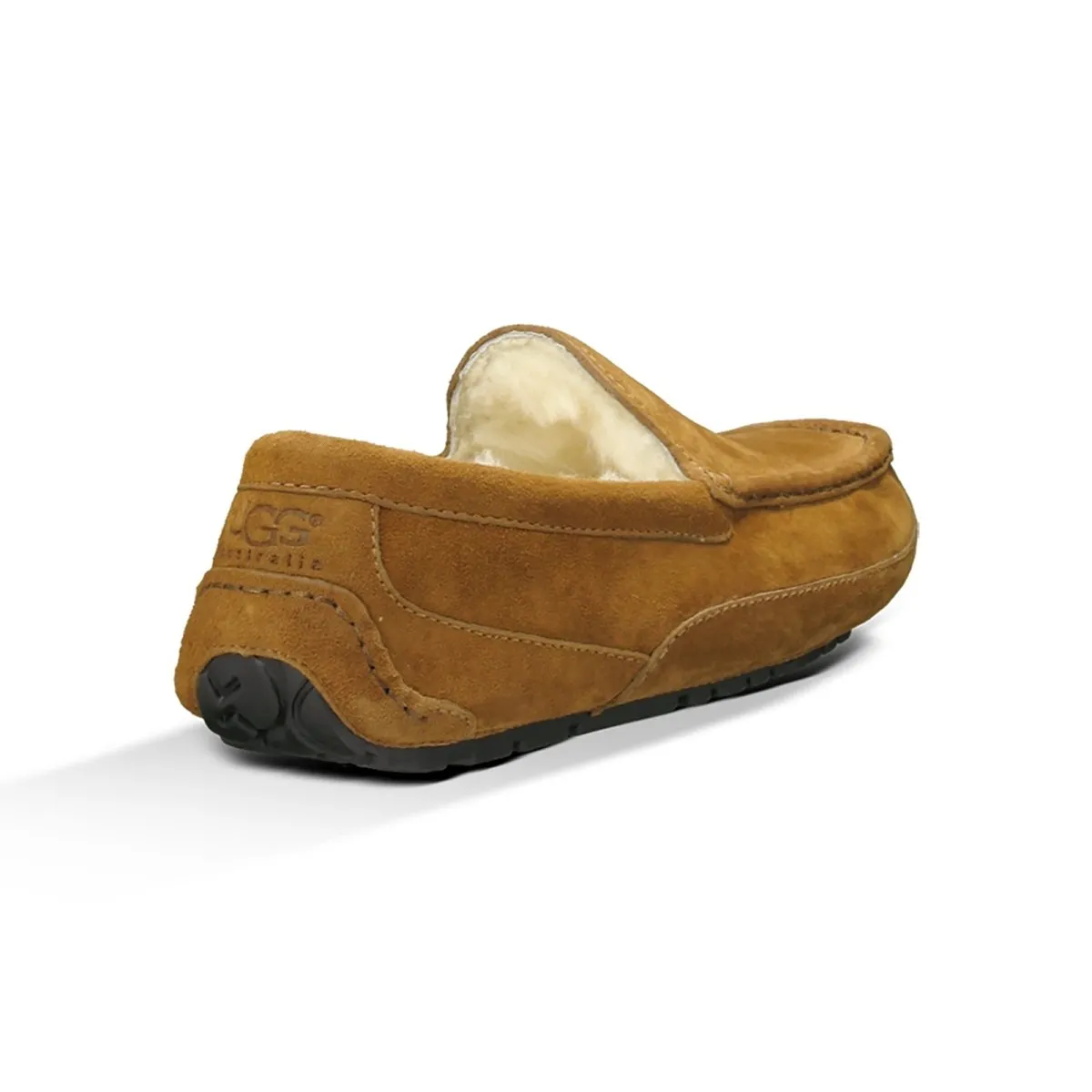 UGG Chaussures pour Homme Ascot en Suède Marron