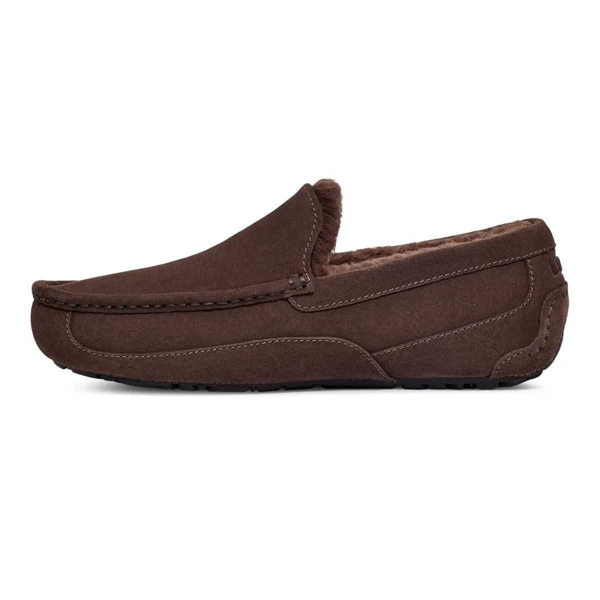 UGG Chaussures pour Homme Ascot en Suédé Poussiéreux Cacao