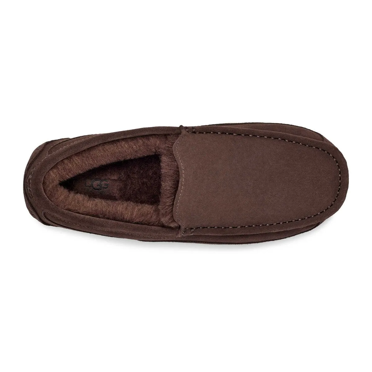 UGG Chaussures pour Homme Ascot en Suédé Poussiéreux Cacao