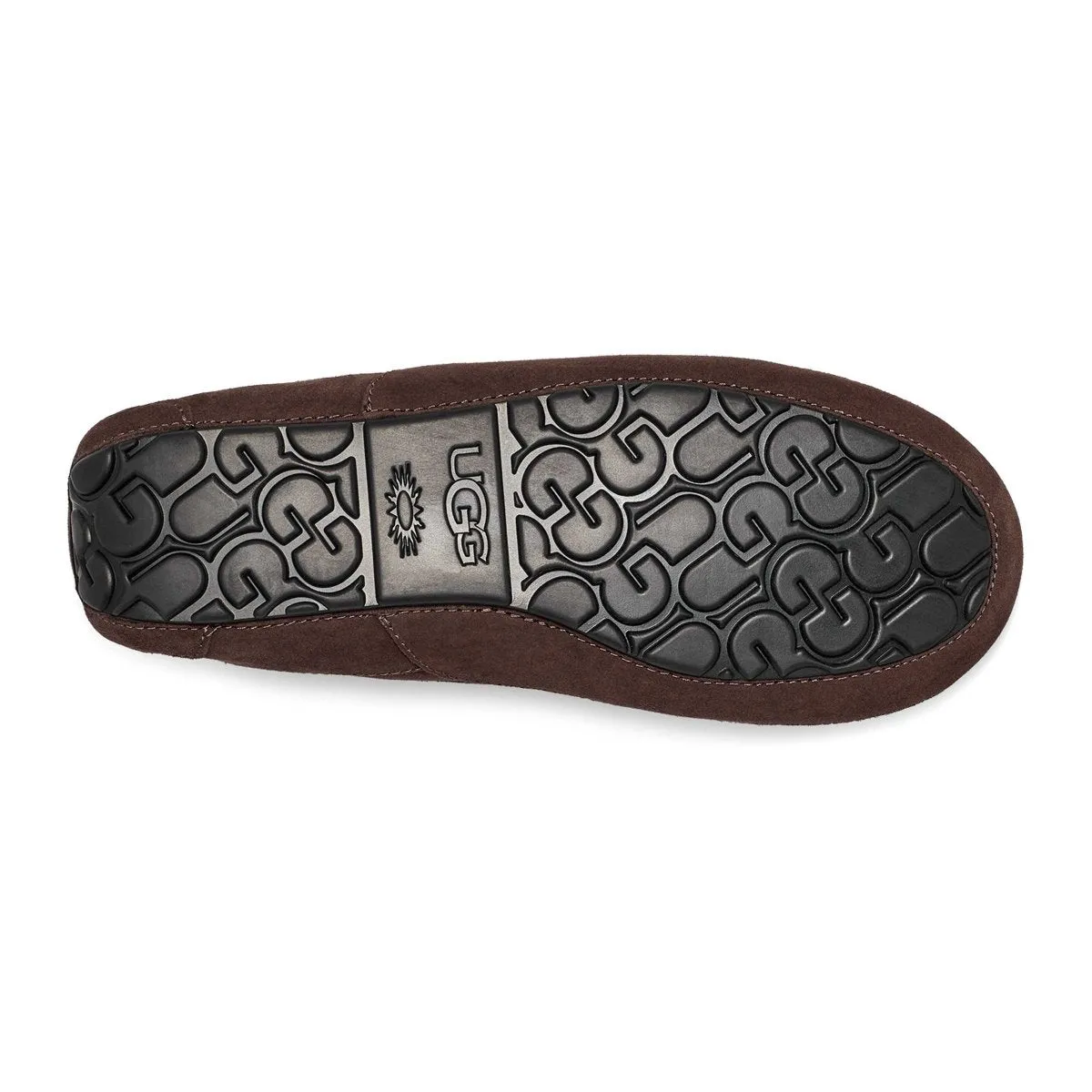 UGG Chaussures pour Homme Ascot en Suédé Poussiéreux Cacao