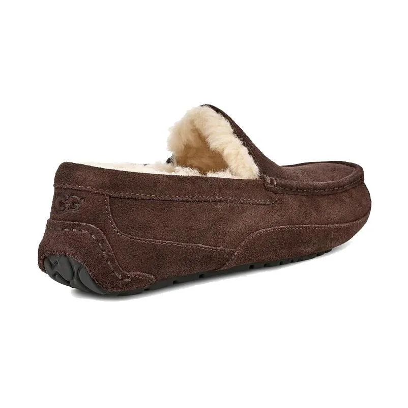 UGG Chaussures pour Homme Ascot Suédine Marron Café