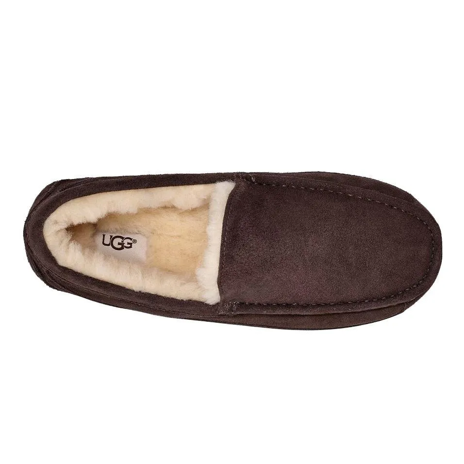 UGG Chaussures pour Homme Ascot Suédine Marron Café